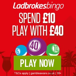 bingo ladbrokes